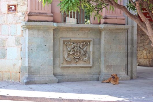 メキシコ・オアハカ