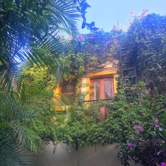 メキシコ・オアハカ